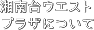 湘南台ウエストプラザについて
